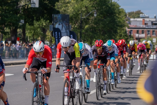 Kartelondrina imagem 1